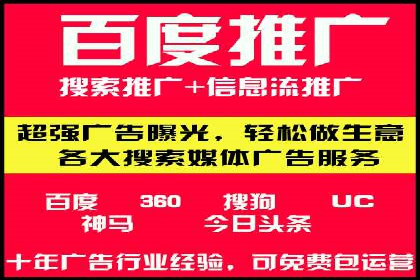 SEM推广策略：成功案例解析
